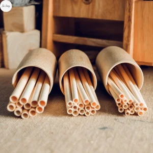 Bộ ống hút tre Trạm Xanh